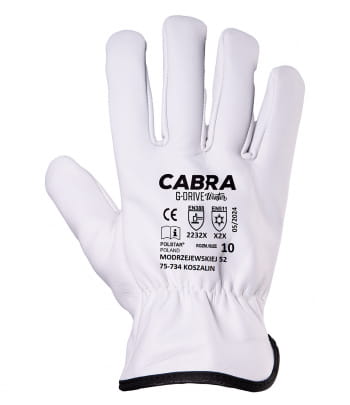thumb_cabra-g-drive-winter-rscd-rekawice_robocze_(2).jpg