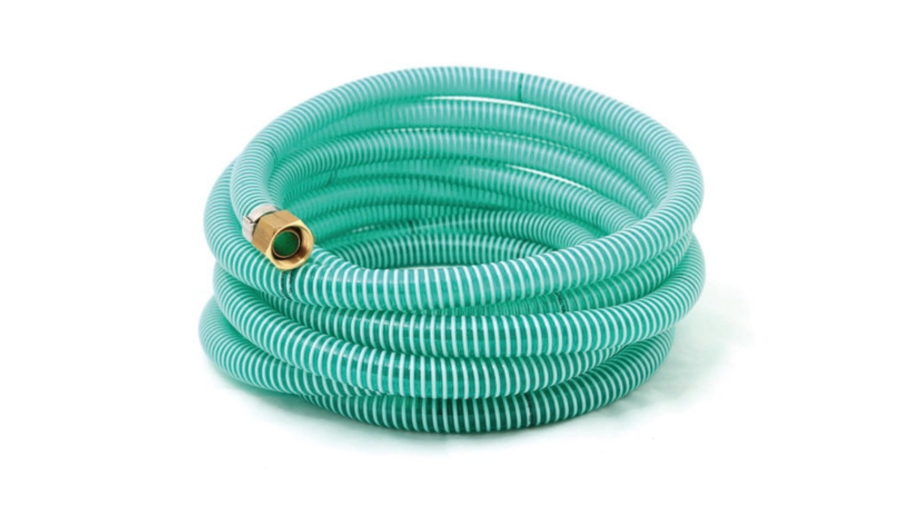 Bez nazwy (1920 x 1080 px) wąż.png